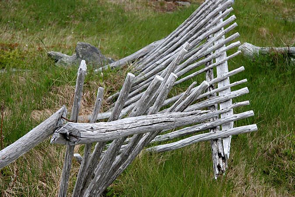 Fence at Change Islands, Newfoundland