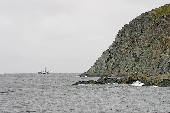 Twillingate Harbour, Newfoundland