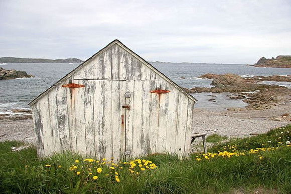 Fish Store near Twillingate, Newfoundland