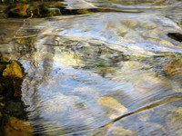 Big Cedar Lake Abstracts